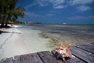 Fototapeta na wymiar Caribbean beach / Ambergris Caye, Belize
