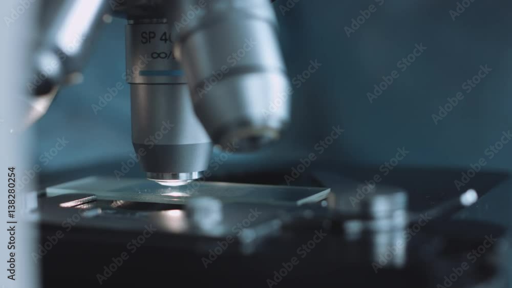 Wall mural close up view of scientist hands with gloves set the sample in the microscope for research