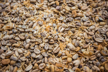 coffee beans fresh roast