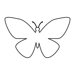 butterfly silhouette isolated icon vector illustration design