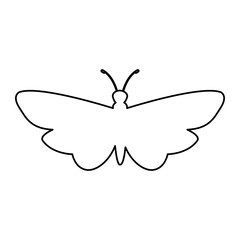 butterfly silhouette isolated icon vector illustration design