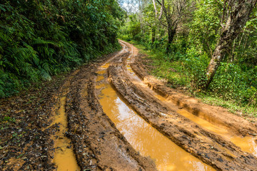 Impassable forest road of mud and clay, offroad © bouybin