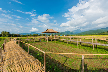 Bamboo walkway rice terraces on mountain in Nan Province, northern of Thailand.