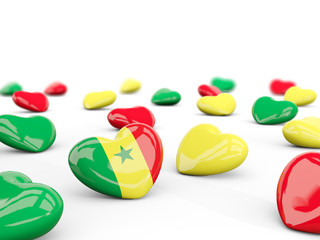 Heart with flag of senegal isolated on white