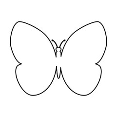 butterfly silhouette isolated icon vector illustration design