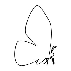 butterfly silhouette isolated icon vector illustration design