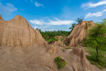 The pillar of the soil is called 