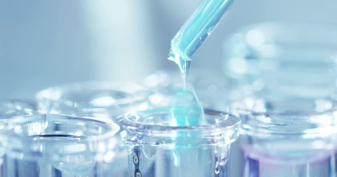 In a laboratory, a scientist with a pipette analyzes a colored liquid to extract the DNA and molecules in the test tubes. Concept: research, biochemistry, nature, pharmaceutical medicine