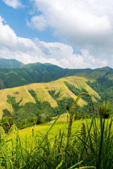 View of the rice field on the mountain in Pua district, Nan province, Thailand.