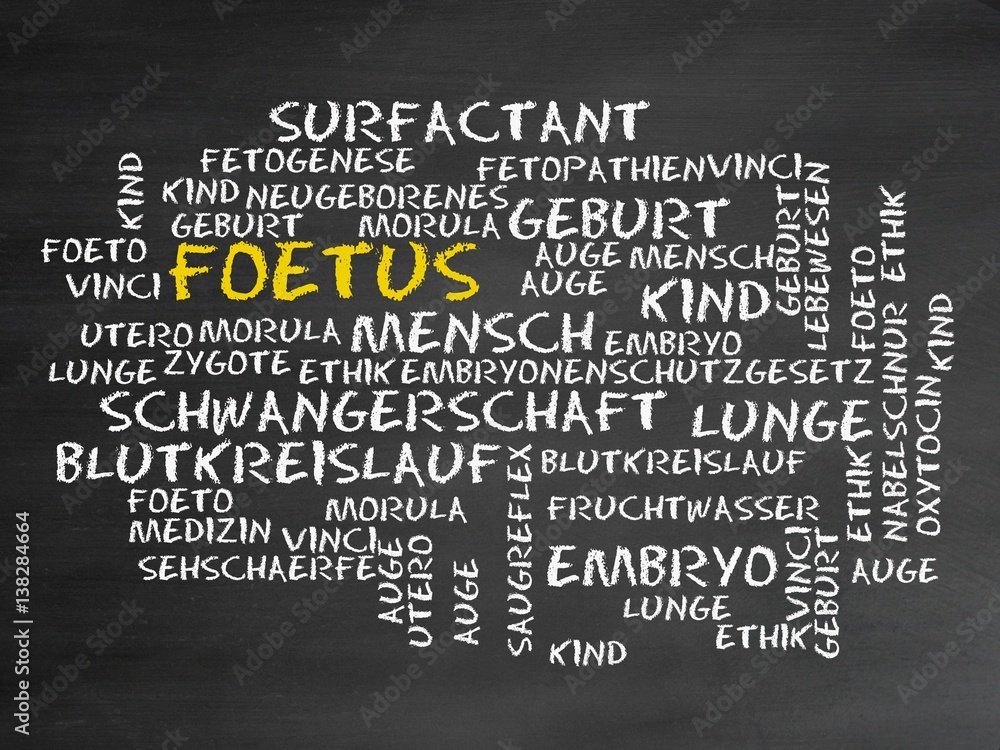 Canvas Prints fötus