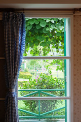silhouette of the window and curtain