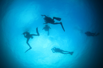 Obraz na płótnie Canvas Scuba dive diver diving