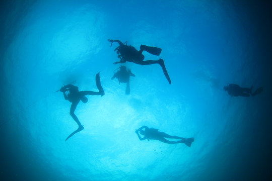 Scuba dive diver diving