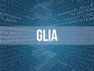 Glia