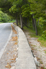 Obraz premium Pathway