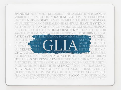 Glia