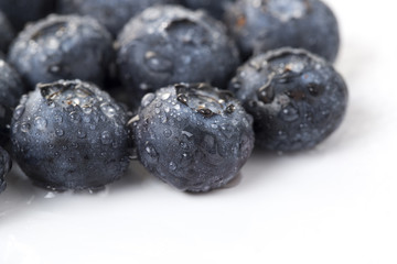 Closeup of  fresh blueberry and waterdrops on the white background
