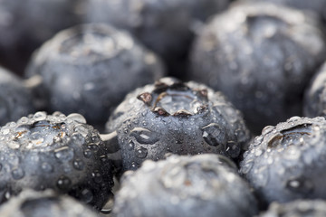 Closeup of  fresh blueberry and waterdrops on the white background
