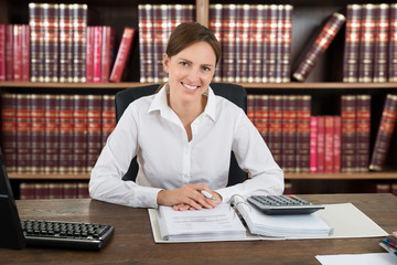 Portrait Of A Successful Female Accountant