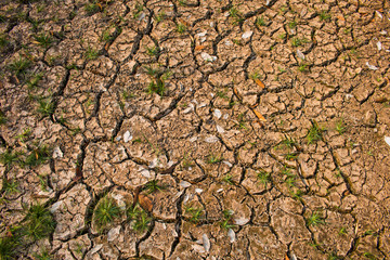 Drought, Dry ground texture background.