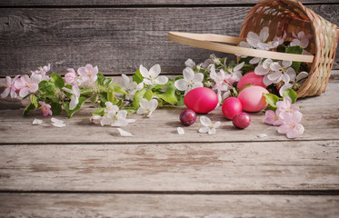 Easter eggs and apple flowers on wooden background