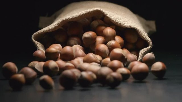 SLOW MOTION: Sac falls and a unpeeled hazelnuts fall out from him