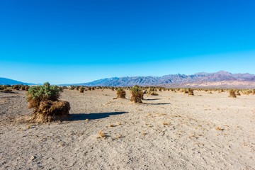 Death Valley