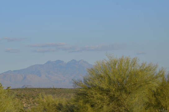 After An Unusually Heavy Winter Rain, McDowell Mountain Regional Park Looks Unusually Green And Lush.  