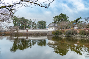 Fototapeta premium 小田原城 二の丸隅櫓とお掘りの景色