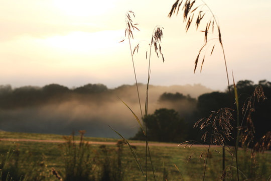 Sunrise on the hill