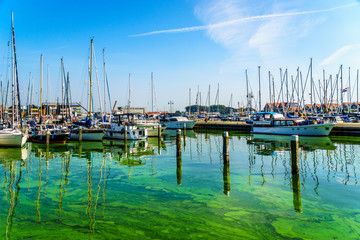 Fototapeta na wymiar Sail boats and motor boats moored in a part of the harbor overtaken by algae in the historic fishing village of Urk in the Netherlands