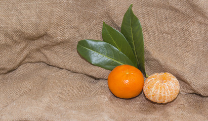 Bright orange tangerines with green leaves