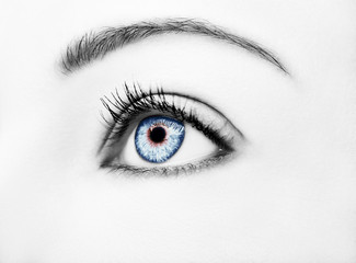 A beautiful insightful look blue woman's eye