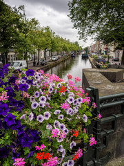 Blühende Petunien auf einer Brücke in einer Gracht in den Den Haag, Niederlande, Europa