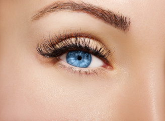 Obraz premium Blue Eye Makeup. Beautiful Eyes Make up detail, perfect beauty eyebrows