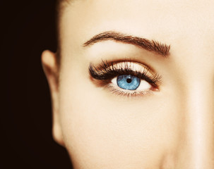 Blue Eye Makeup. Beautiful Eyes Make up detail, perfect beauty eyebrows