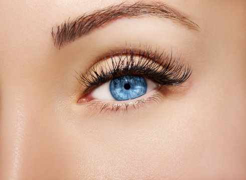 Blue Eye Makeup. Beautiful Eyes Make up detail, perfect beauty eyebrows