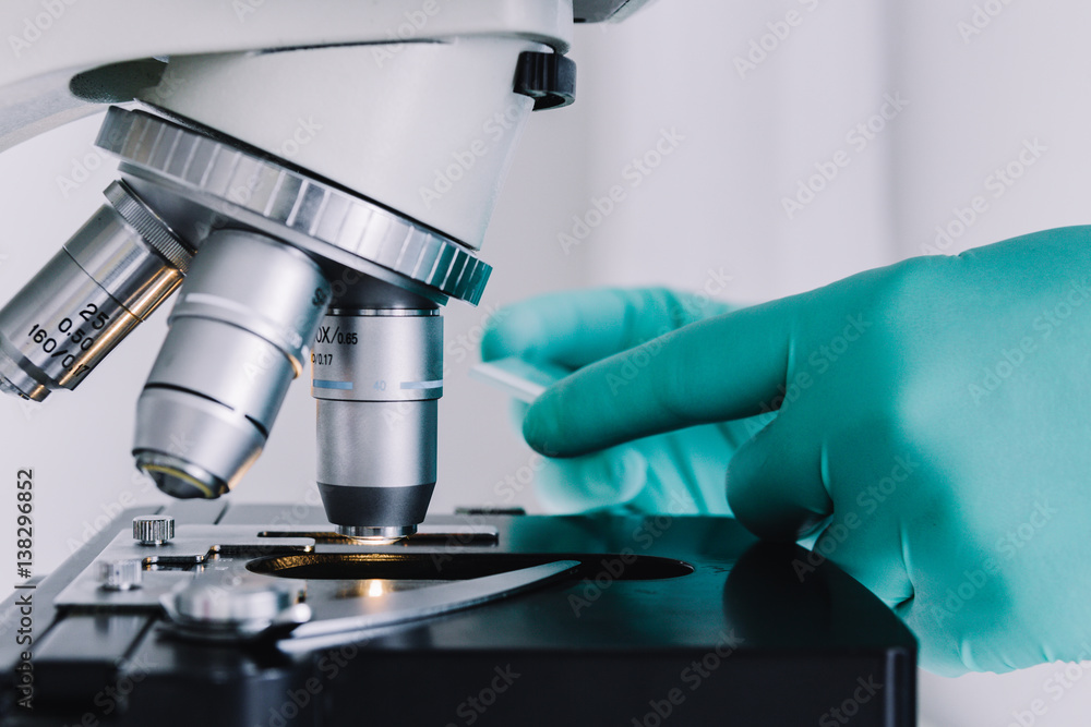 Wall mural close up view of scientist hands with gloves set the sample in the microscope for research