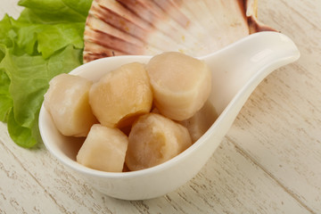 Raw scallops heap