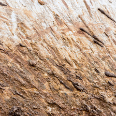 mud splatter background