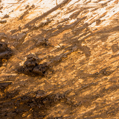 mud splatter background