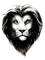 Lion head