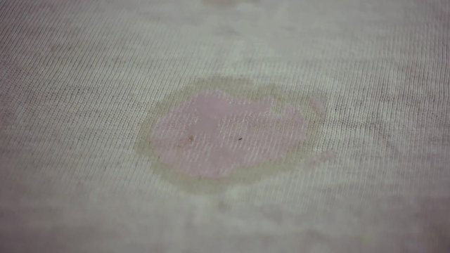 Yogurt stain on t-shirt