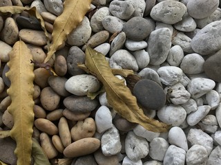 Pebbles