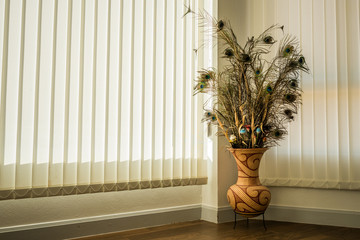 Peacock feather and vase in a living room