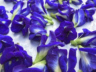 butterfly bean flower