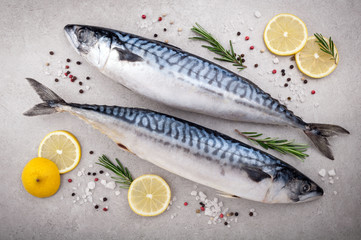 Fresh raw fish. Mackerel with salt, lemon and spices on gray background. Cooking fish with herbs....