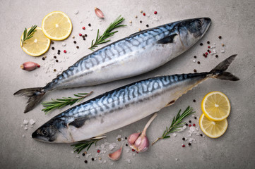 Fresh raw fish. Mackerel with salt, lemon and spices on gray background. Cooking fish with herbs. Top view