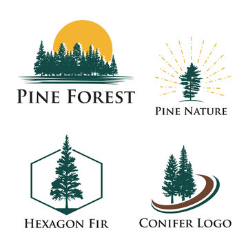 Pine Fir Conifer Tree Camping Adventure Nature Logo