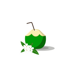 summer drink  green coconut on white background